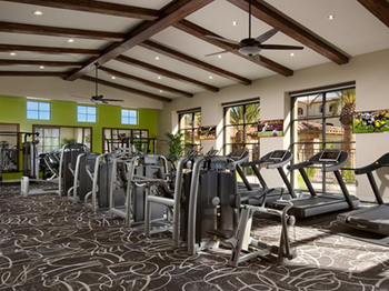 Cardio machines in gym